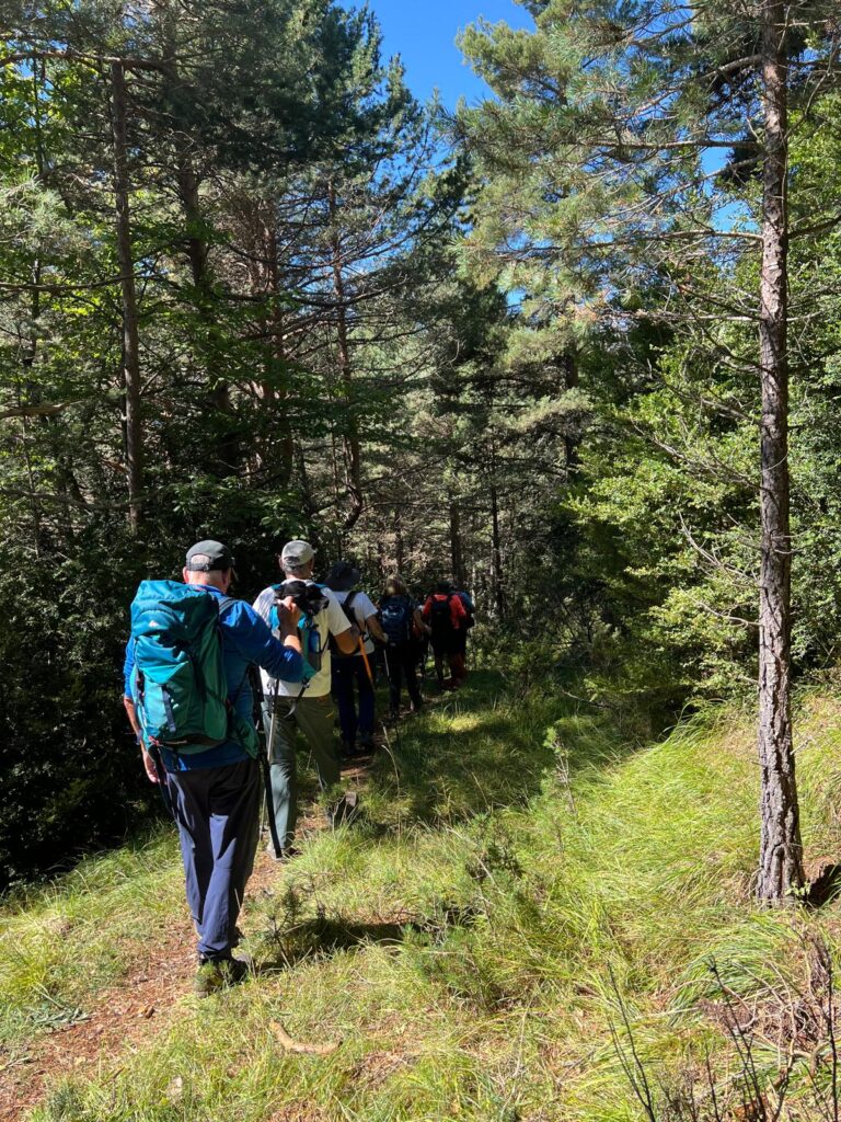 Punta El Cuezo desde Espierba