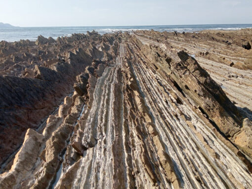 VIAJE ZUMAIA