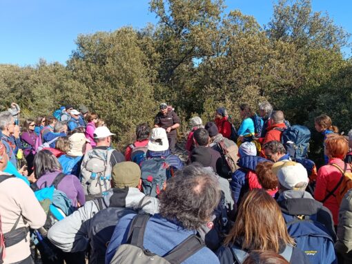 REALIZADA LA ÚLTIMA JORNADA CONJUNTA DEL AÑO 2025. SÁBADO 22 DE NOVIEMBRE DE 2025