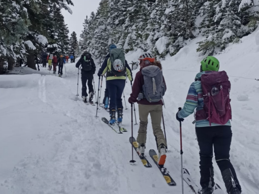 CURSOS DE INICIACIÓN Y NIVEL AVANZADO DE ESQUÍ DE MONTAÑA 2026