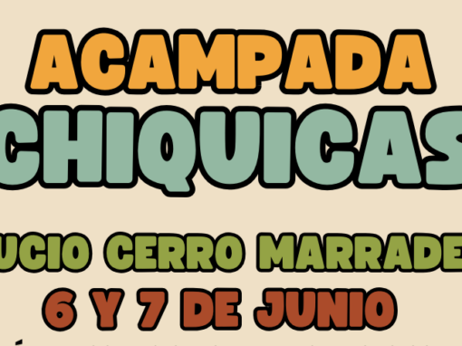 ACAMPADA CHIQUICAS